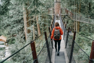 Vancouver: Highlights & versteckte Juwelen Private Tour