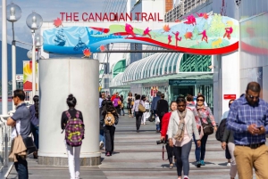 Vancouver: Highlights & versteckte Juwelen Private Tour