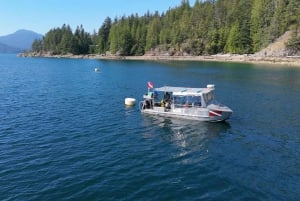 Tour panoramico in barca della Riserva della Biosfera UNESCO di Vancouver