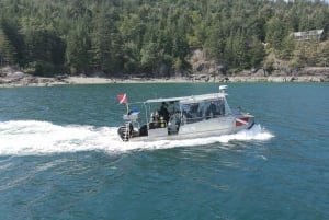 Tour panoramico in barca della Riserva della Biosfera UNESCO di Vancouver