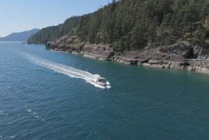 Tour panoramico in barca della Riserva della Biosfera UNESCO di Vancouver