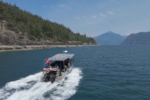 Tour panoramico in barca della Riserva della Biosfera UNESCO di Vancouver