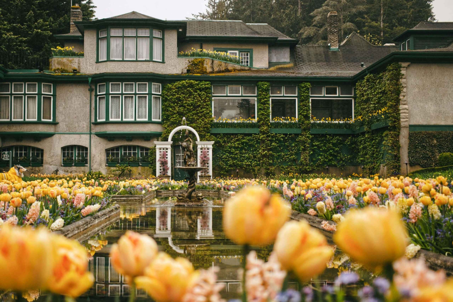 Île de Vancouver : Excursion d'une journée à Victoria et aux Butchart Gardens
