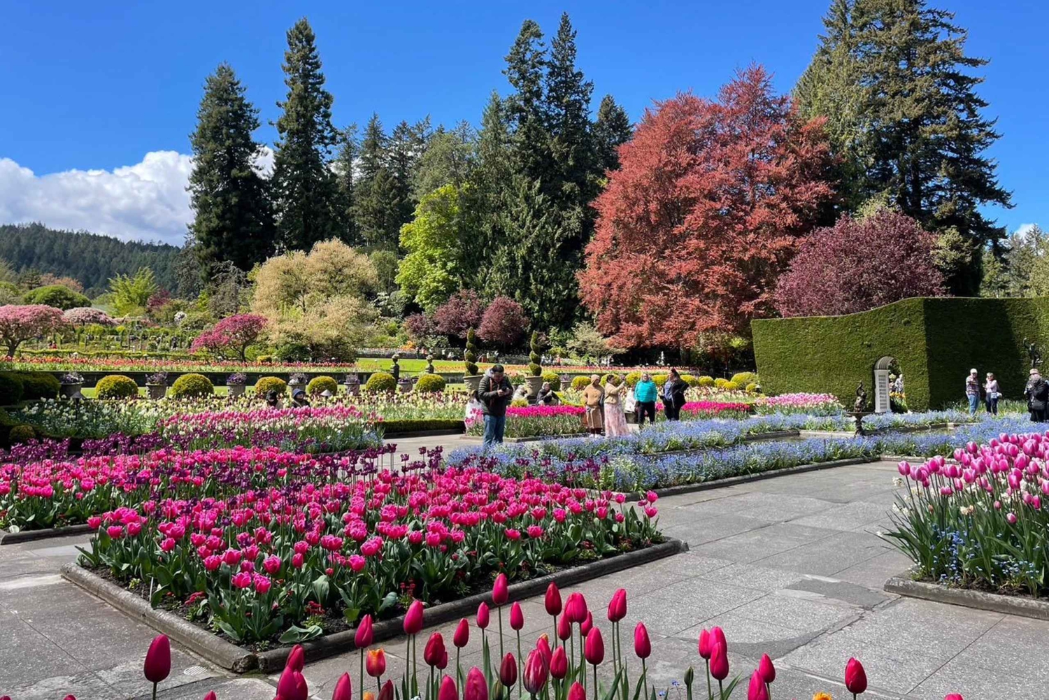 Île de Vancouver : Excursion d'une journée à Victoria et aux Butchart Gardens