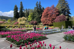 Ilha de Vancouver: Visita de um dia a Victoria e aos Jardins Butchart