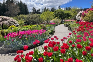 Île de Vancouver : Excursion d'une journée à Victoria et aux Butchart Gardens