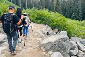 Vancouver: Wycieczka do parku Joffre Lakes i jednodniowa wycieczka do Whistler