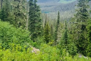 Vancouver: Wycieczka do parku Joffre Lakes i jednodniowa wycieczka do Whistler