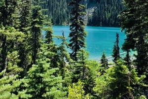 Vancouver: Wycieczka do parku Joffre Lakes i jednodniowa wycieczka do Whistler