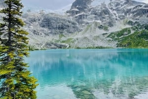 Vancouver: Wycieczka do parku Joffre Lakes i jednodniowa wycieczka do Whistler