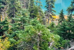 Vancouver: Wycieczka do parku Joffre Lakes i jednodniowa wycieczka do Whistler