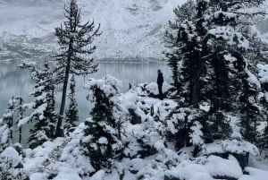 Vancouver: Wycieczka do parku Joffre Lakes i jednodniowa wycieczka do Whistler