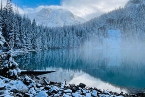 Vancouver: Wycieczka do parku Joffre Lakes i jednodniowa wycieczka do Whistler