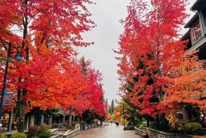 Vancouver: Wycieczka do parku Joffre Lakes i jednodniowa wycieczka do Whistler