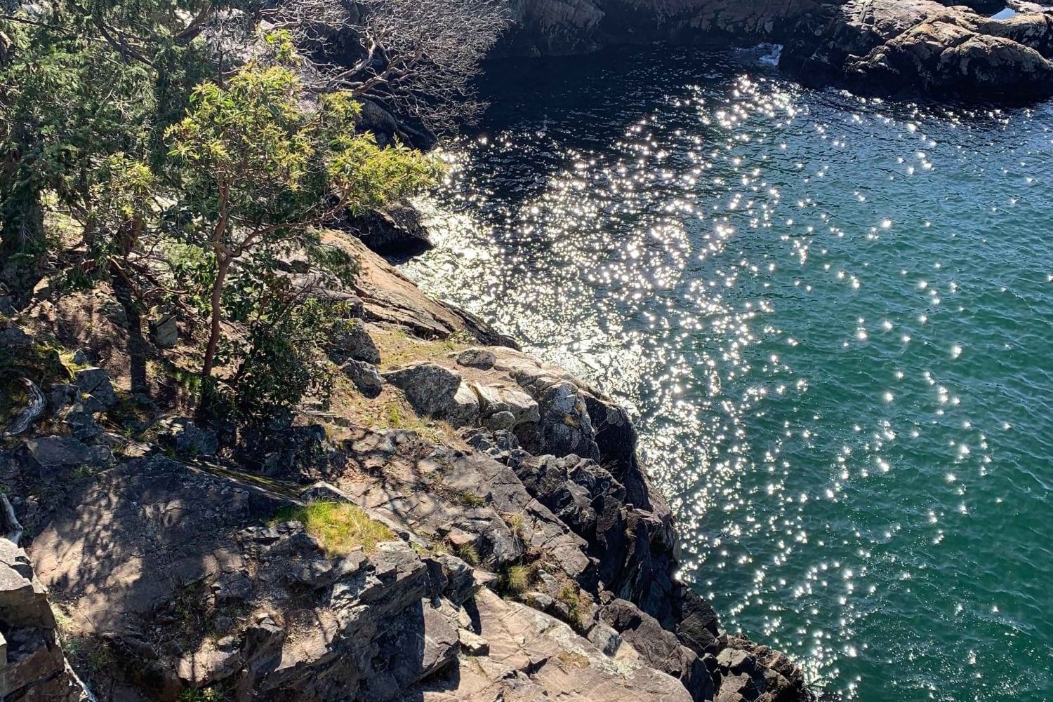 Vancouver: Escursione al Parco del Faro