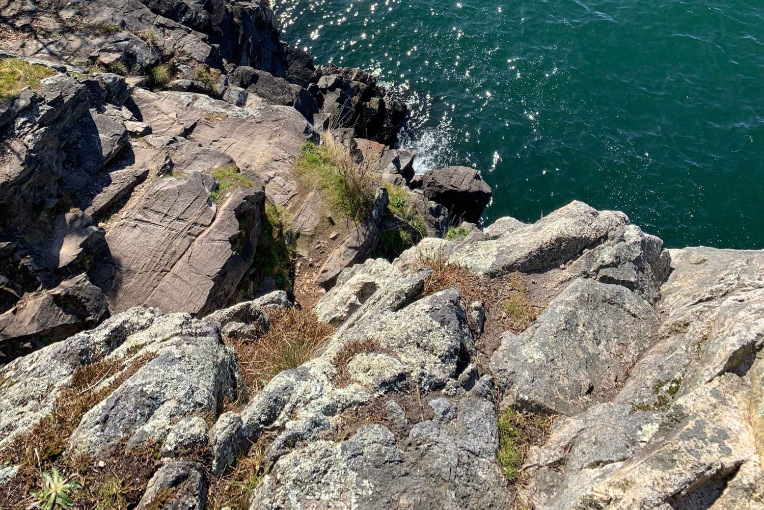 Vancouver: Escursione al Parco del Faro