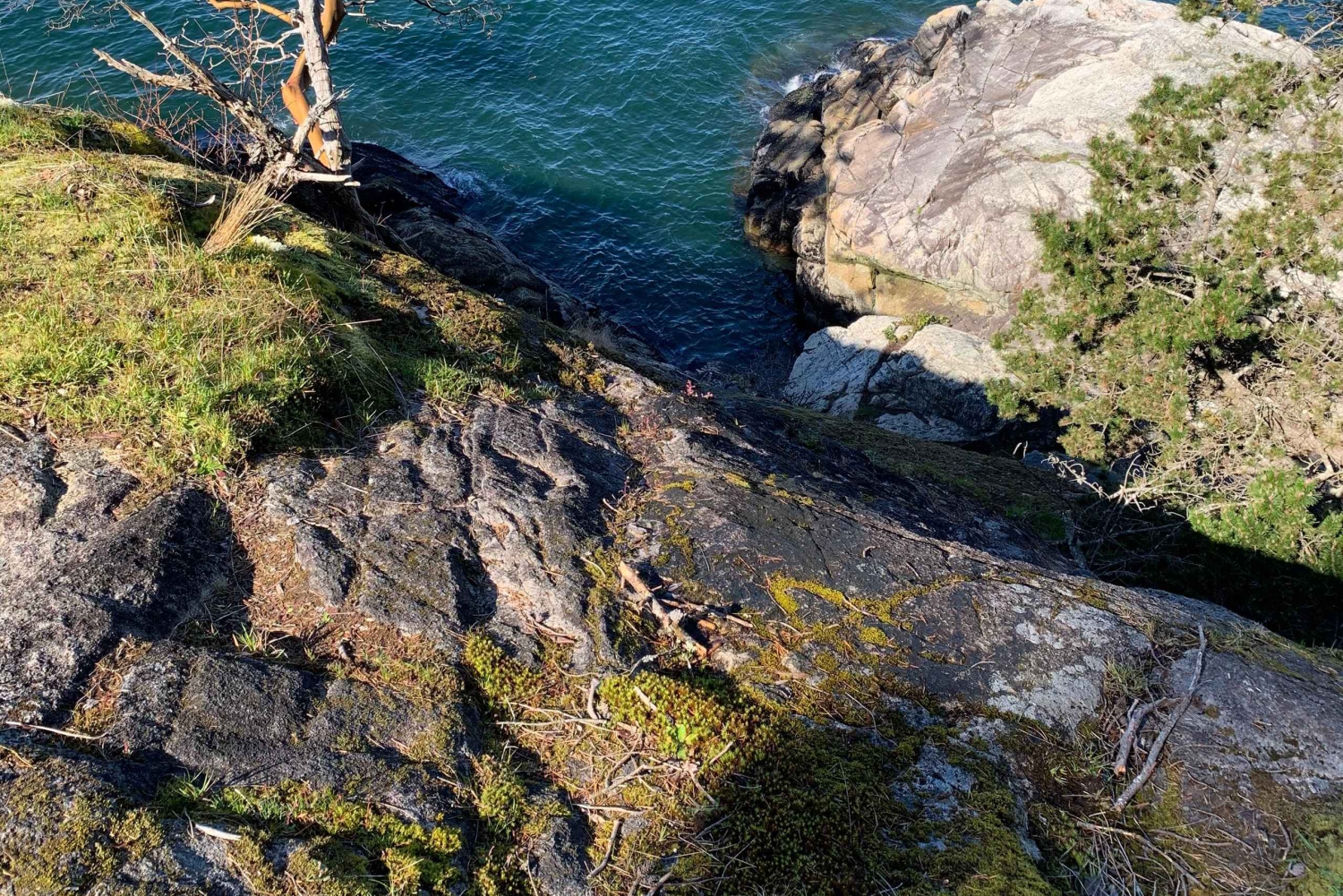 Vancouver: Escursione al Parco del Faro