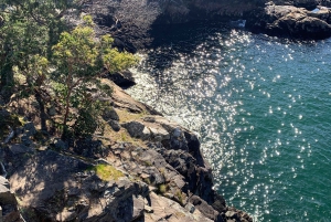 Vancouver: Lighthouse Park Hike