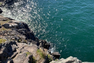 Vancouver: Lighthouse Park Hike