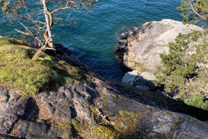 Vancouver: Lighthouse Park Hike