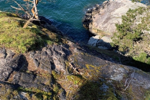 Vancouver: Escursione al Parco del Faro