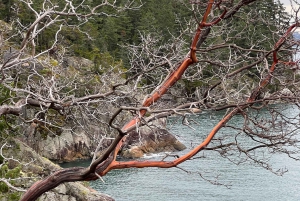 Vancouver: Escursione al Parco del Faro