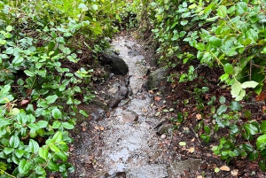 Vancouver: Escursione al Parco del Faro