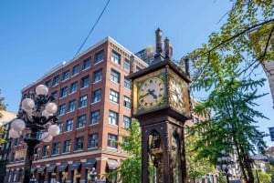 Vancouver Lookout privétour met voorrangstickets