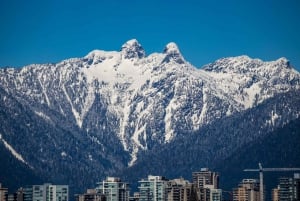 Vancouver Lookout privétour met voorrangstickets