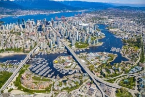 Vancouver Lookout privétour met voorrangstickets