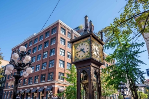 Vancouver Lookout Privat tur med biljetter som låter dig hoppa över kön