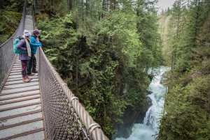 Vancouver: Lynn Valley Suspension Bridge & Nature Walk Tour