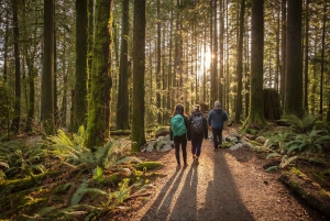 Vancouver: Lynn Valley Suspension Bridge & Nature Walk Tour