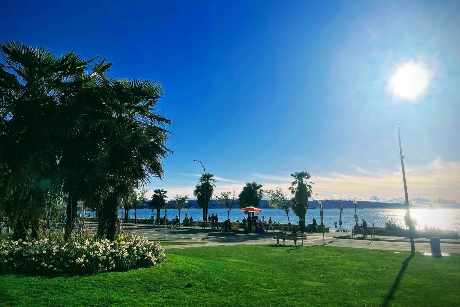 Les merveilles de Vancouver : Visite privée d'une journée à la découverte de 25 attractions