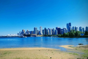 Vancouver Marvels: Private Day Tour Exploring 25 Attractions