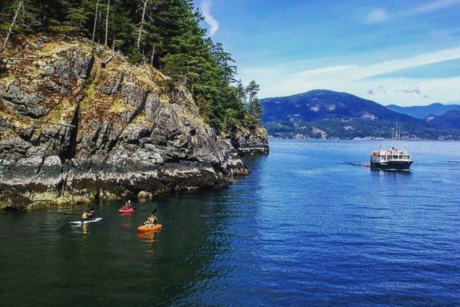 Vancouver: Caiaque matinal e cruzeiro com focas