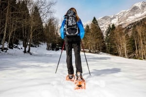 Vancouver: Mount Seymour/ Winter Hike/ Snowshoeing