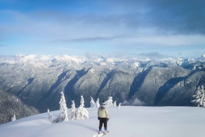 Vancouver: Mount Seymour/ vintervandring/ trugeturer