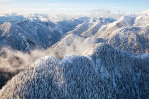 Vancouver: Mount Seymour/ vintervandring/ trugeturer
