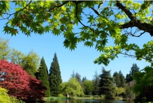 バンクーバー：人類学博物館とバンデューセン庭園ツアーをご案内いたします