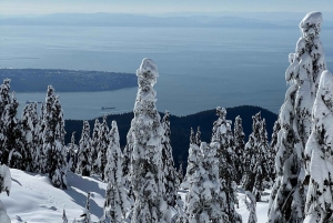 Vancouver: North Shore Mountains Snowshoeing with Transfer