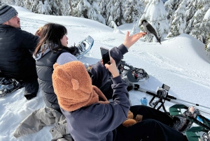 Vancouver: North Shore Mountains Snowshoeing with Transfer