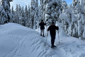 Vancouver: North Shore Mountains Snowshoeing with Transfer