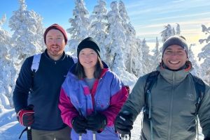 Vancouver: North Shore Mountains Snowshoeing with Transfer