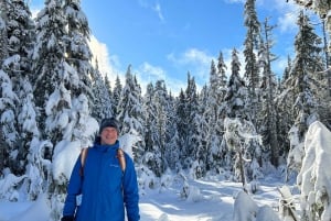 Vancouver: North Shore Mountains Snowshoeing with Transfer