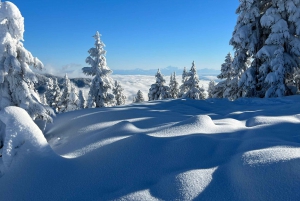 Vancouver: North Shore Mountains Snowshoeing with Transfer