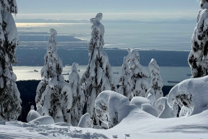 Vancouver: North Shore Mountains Snowshoeing with Transfer