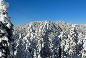 Vancouver: North Shore Mountains Snowshoeing with Transfer