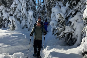 Vancouver: North Shore Mountains Snowshoeing with Transfer