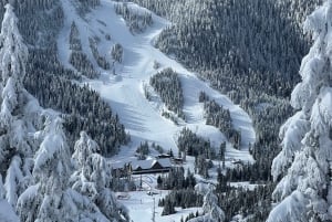 Vancouver: Caminhada na neve nas montanhas de North Shore com traslado